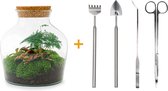 Terrarium - Little Joe - ↑ 21,5 cm - Ecosysteem plant - Kamerplanten - DIY planten terrarium - Mini ecosysteem - Inclusief Hark + Schep + Pincet + Schaar