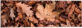 WallClassics - Drapeau - Tas de Feuilles d'Automne - 60x20 cm Photo sur Drapeau Polyester