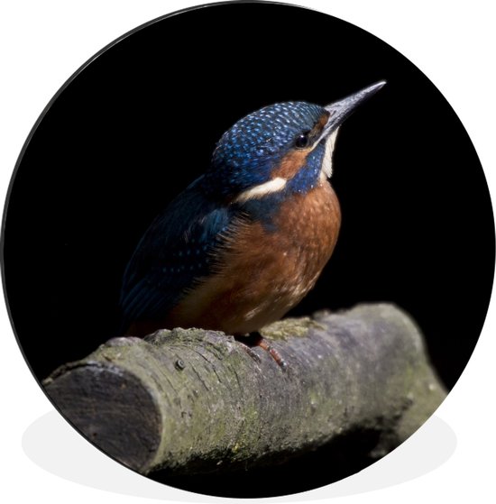 Wandbord Stapeltje Vogels - Tweeluik - Keramiek - 26 cm Wandbord Stapeltje Vogels - Tweeluik - Keramiek - 26 cm