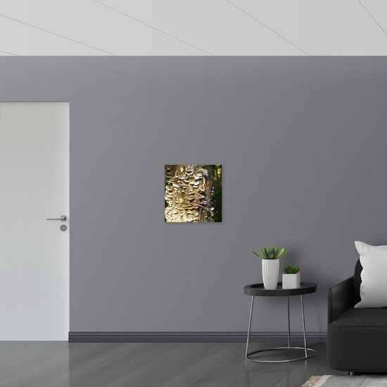 WallClassics - Panneau en mousse PVC – Petits champignons sur souche d'arbre – Photo 50 x 50 cm sur panneau en mousse PVC