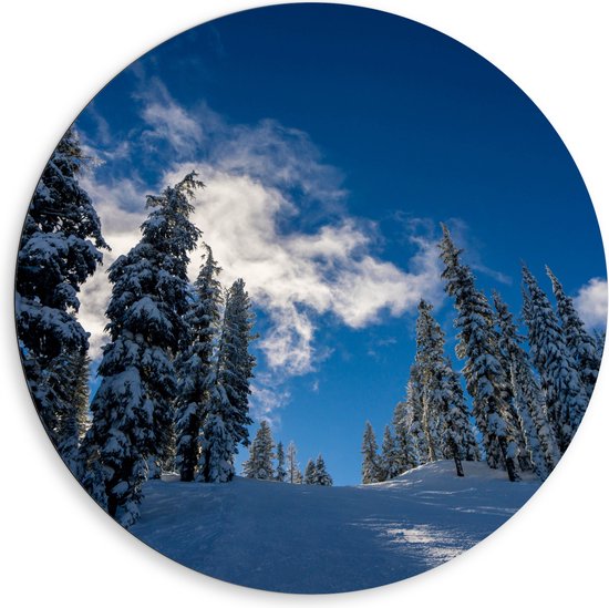 WallClassics - Dibond Muurcirkel - Hoge Smalle Bomen in de Sneeuw met Zon - 80x80 cm Foto op Aluminium Muurcirkel (met ophangsysteem)