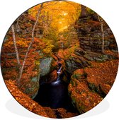 WallCircle - Wandcirkel - Muurcirkel - Een waterval in de herfst - Aluminium - Dibond - ⌀ 90 cm - Binnen en Buiten