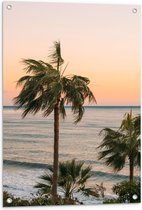 WallClassics - Tuinposter – Hoge Palmbomen bij Zee - 60x90 cm Foto op Tuinposter  (wanddecoratie voor buiten en binnen)