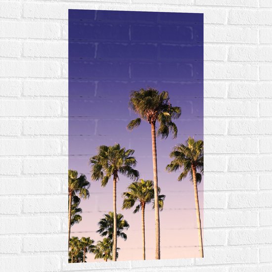 WallClassics - Muursticker - Palmboomtoppen in de lucht - 50x100 cm Foto op Muursticker