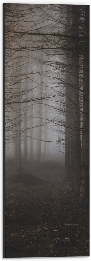 WallClassics - Dibond - Mist tussen Hoge Witte Bomen - 20x60 cm Foto op Aluminium (Wanddecoratie van metaal)