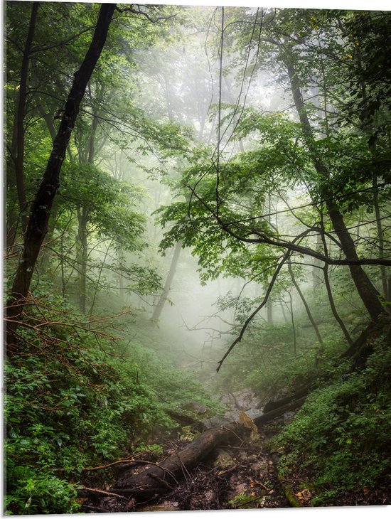 WallClassics - Acrylglas - Mist tussen Groene Bomen - 60x80 cm Foto op Acrylglas (Met Ophangsysteem)