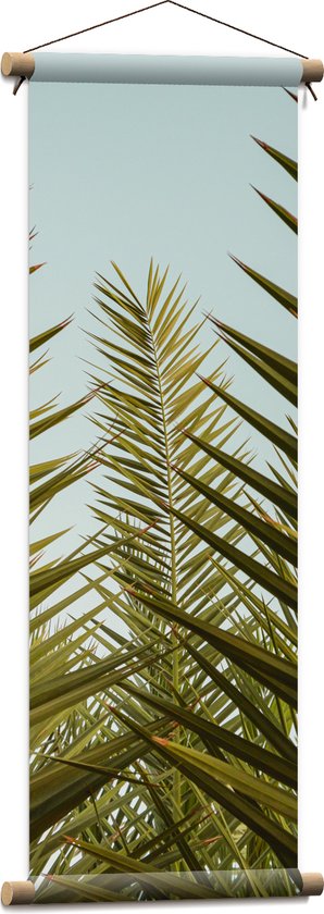 WallClassics - Textielposter - Palmboom Planten met Blauwe Lucht - 30x90 cm Foto op Textiel