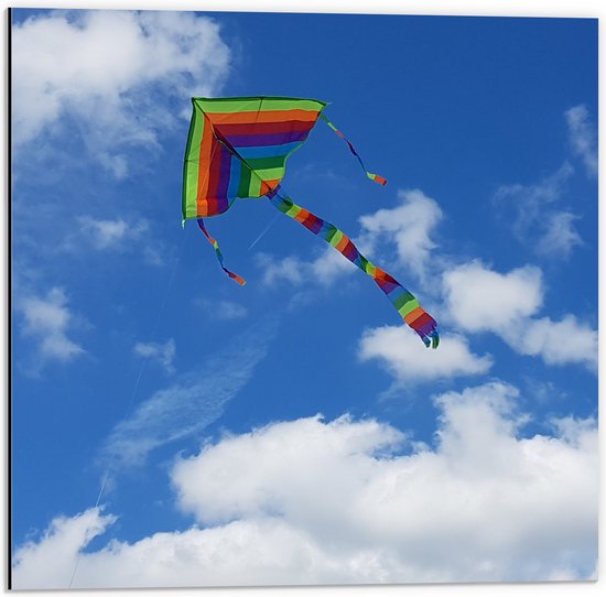 WallClassics - Dibond - Regenboog Vlieger in de Lucht - 50x50 cm Foto op Aluminium (Wanddecoratie van metaal)