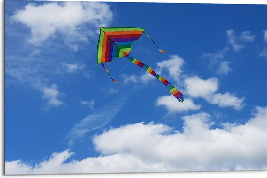 WallClassics - Dibond - Regenboog Vlieger in de Lucht - 75x50 cm Foto op Aluminium (Wanddecoratie van metaal)