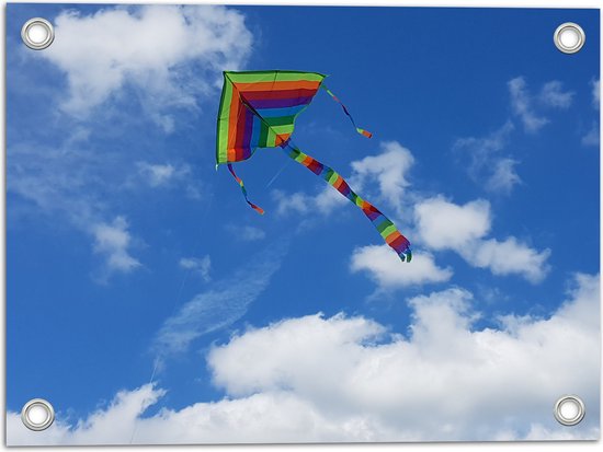 WallClassics - Tuinposter – Regenboog Vlieger in de Lucht - 40x30 cm Foto op Tuinposter  (wanddecoratie voor buiten en binnen)