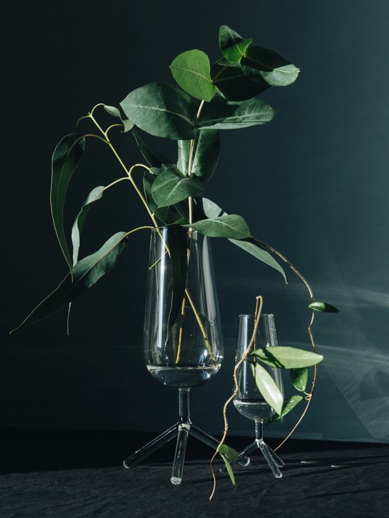 Set Driepoot vazen 19 & 30 cm hoog transparant glas Nederlands design Maarten Baptist xl Champagne glas