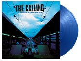 Calling - Camino Palmero (Translucent Blue Vinyl)