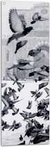 WallClassics - Tuinposter – Vliegende Duiven in de Sneeuw - 40x120 cm Foto op Tuinposter  (wanddecoratie voor buiten en binnen)