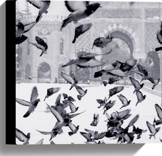 WallClassics - Toile - Pigeons volants dans la neige - 30x30 cm Photo sur toile (Décoration murale sur toile)