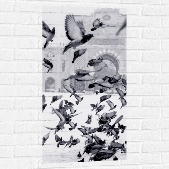 WallClassics - Muursticker - Vliegende Duiven in de Sneeuw - 50x100 cm Foto op Muursticker