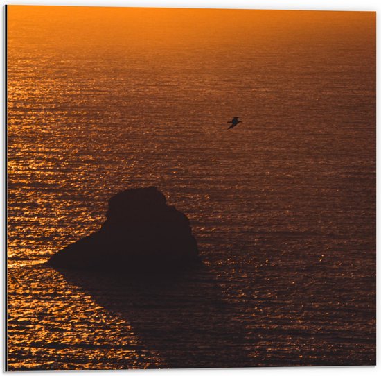 WallClassics - Dibond - Gele Hemel door Zonsondergang boven Zee - 50x50 cm Foto op Aluminium (Wanddecoratie van metaal)