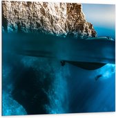 WallClassics - Dibond - Duiker onder Water - 100x100 cm Foto op Aluminium (Wanddecoratie van metaal)
