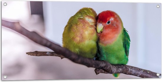 WallClassics - Tuinposter – Twee Verliefde Vogeltjes op een Tak - 100x50 cm Foto op Tuinposter  (wanddecoratie voor buiten en binnen)