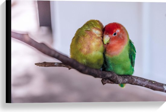 WallClassics - Canvas  - Twee Verliefde Vogeltjes op een Tak - 60x40 cm Foto op Canvas Schilderij (Wanddecoratie op Canvas)