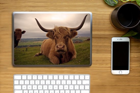 Sticker pour ordinateur portable - 10,1 pouces - Scottish Highlander - Animaux - Berg