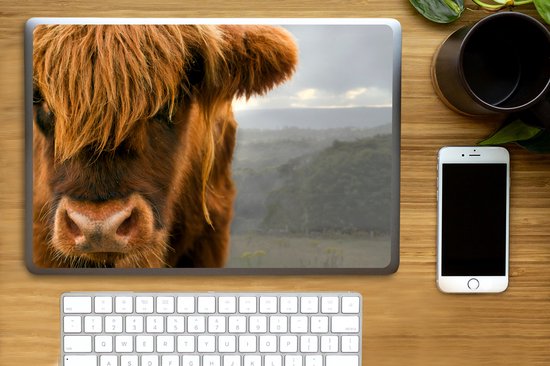 Sticker pour ordinateur portable - 15,6 pouces - Scottish Highlander - Oranje - Nez