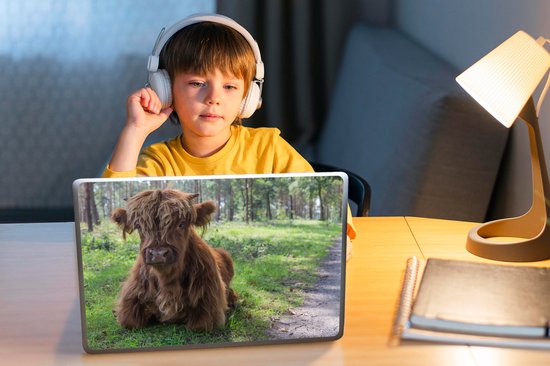 Sticker ordinateur portable - 10,1 pouces - Scottish Highlander - Crapaud - Animaux