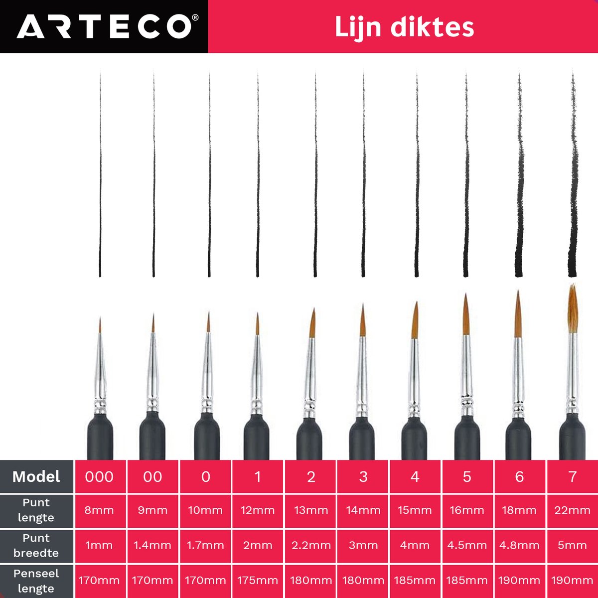 ARTECO® 10 Fijne Penselen - Penselenset - Penselen - Kwasten – Kalligrafie, Schilderen op Nummer, Miniatuur — afbeelding 2