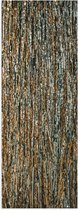 WallClassics - Poster (Mat) - Gros plan d'un arbre - Photo 50x150 cm sur papier poster avec un aspect mat
