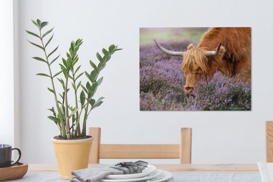 Tableau sur toile Scottish Highlander - Animaux - Bruyère - 40x30 cm - Décoration murale