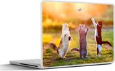 Laptop sticker - 15.6 inch - Katten - Vlinder - Zonsondergang - Gras - Natuur - 36x27,5cm - Laptopstickers - Laptop skin - Cover