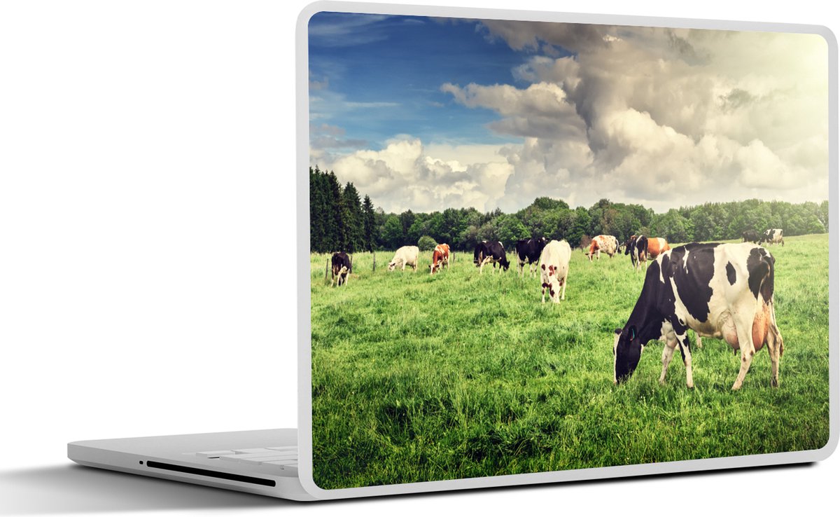 Laptop sticker - 13.3 inch - Koeien - Weiland - Natuur - Dieren - Landschap - 31x22,5cm - Laptopstickers - Laptop skin - Cover