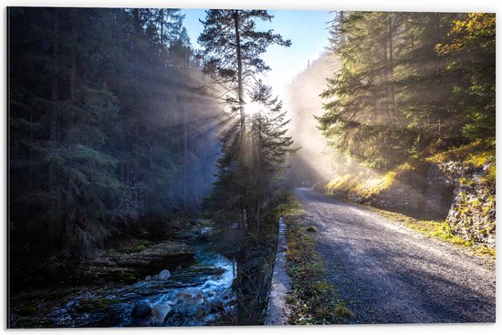 WallClassics - Dibond - Zonnestralen door Bomen bij Weg - 60x40 cm Foto op Aluminium (Met Ophangsysteem)