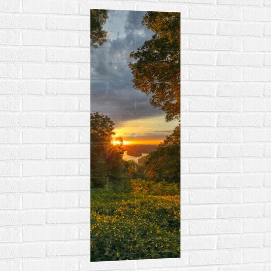 WallClassics - Muursticker - Soleil derrière les Buissons de la Berg - 40x120 cm Photo sur Muursticker