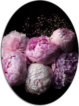 WallClassics - Dibond Ovaal - Roze/Paarse Bloemen tegen Zwarte Achtergrond - 60x80 cm Foto op Ovaal (Met Ophangsysteem)