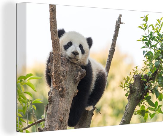 Canvas Schilderij Panda - Boom - Bladeren - 90x60 cm - Wanddecoratie