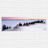 WallClassics - Muursticker - Boomtoppen boven Mistlaag - 120x40 cm Foto op Muursticker