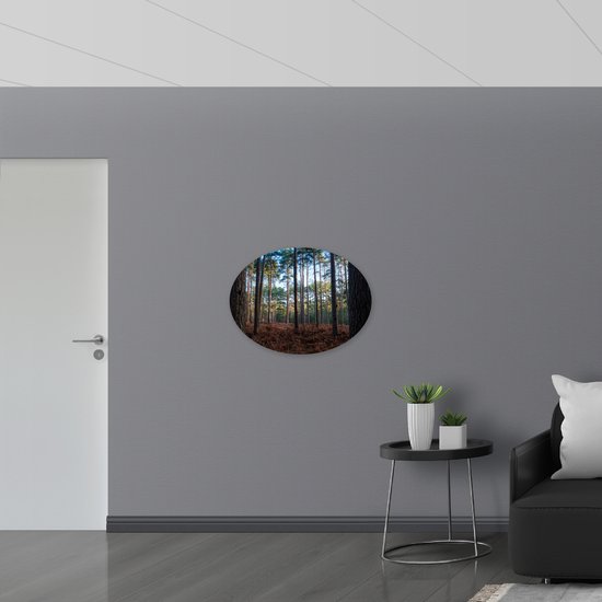 WallClassics - Dibond Ovale - Forêt Brune - Photo sur ovale 80x60 cm (avec système de suspension)