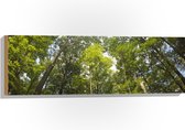 WallClassics - Hout - Boomtoppen - 90x30 cm - 12 mm dik - Foto op Hout (Met Ophangsysteem)