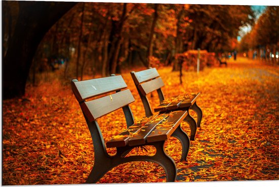 WallClassics - Dibond - Bankjes tijdens Herfst in het Park - 90x60 cm Foto op Aluminium (Met Ophangsysteem)