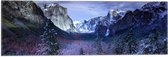 WallClassics - Vlag - Besneeuwde Bergen met Bomen en Rotsen - 60x20 cm Foto op Polyester Vlag