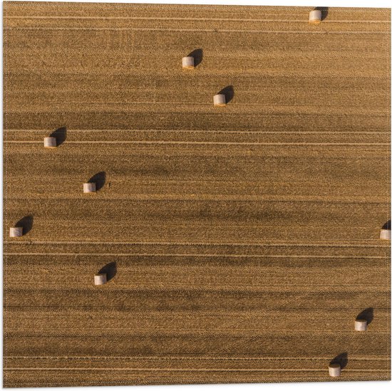 WallClassics - Vlag - Bovenaanzicht van Hooibalen op Landbouwgrond - 50x50 cm Foto op Polyester Vlag