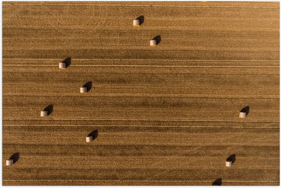 WallClassics - Poster Glanzend – Bovenaanzicht van Hooibalen op Landbouwgrond - 90x60 cm Foto op Posterpapier met Glanzende Afwerking
