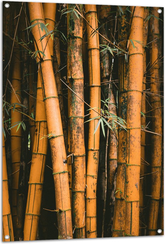 WallClassics - Tuinposter – Bamboestammen Staand - 80x120 cm Foto op Tuinposter  (wanddecoratie voor buiten en binnen)