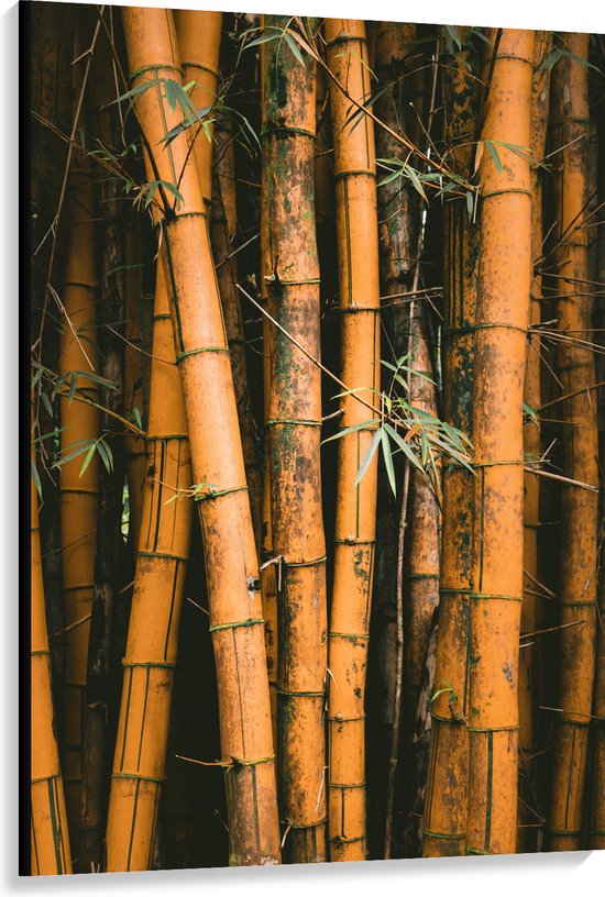 WallClassics - Canvas  - Bamboestammen Staand - 100x150 cm Foto op Canvas Schilderij (Wanddecoratie op Canvas)