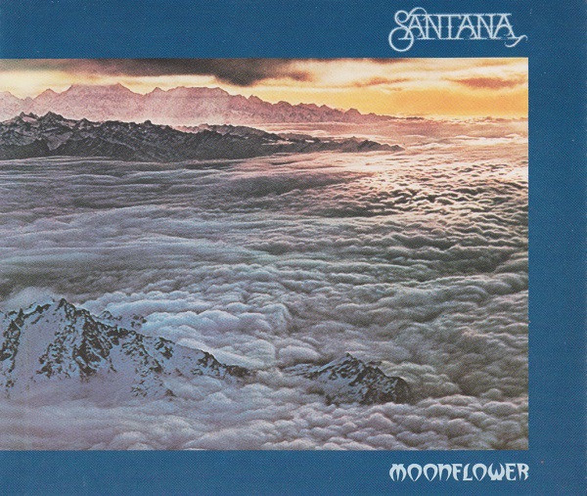 Moonflower