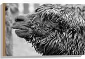 WallClassics - Hout - Natte Alpaca Zwart - Wit - 60x40 cm - 12 mm dik - Foto op Hout (Met Ophangsysteem)
