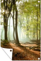 Décoration murale Forêt - Soleil - Saisons - Paysage - 120x180 cm - Poster jardin