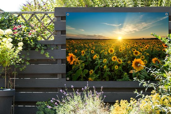 Affiche jardin - Toile jardin - Posters de jardin extérieur - Coucher de soleil - Fleurs - Tournesol - Horizon - Paysage - 120x80 cm - Jardin