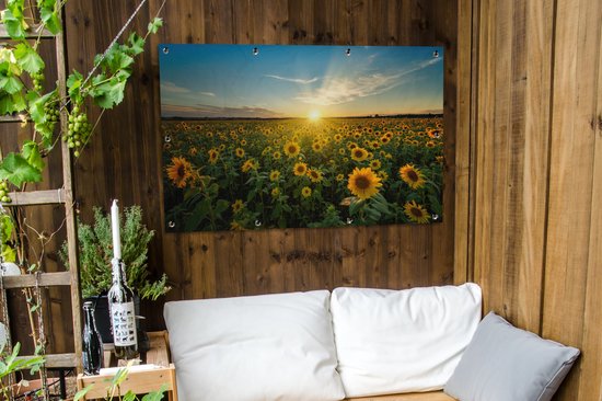 Affiche jardin - Toile jardin - Posters de jardin extérieur - Coucher de soleil - Fleurs - Tournesol - Horizon - Paysage - 120x80 cm - Jardin