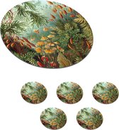 Onderzetters voor glazen - Rond - Oude meesters - Kunst - Muscinae - Haeckel - 10x10 cm - Glasonderzetters - 6 stuks